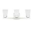 Capital Three Light Vanity POL